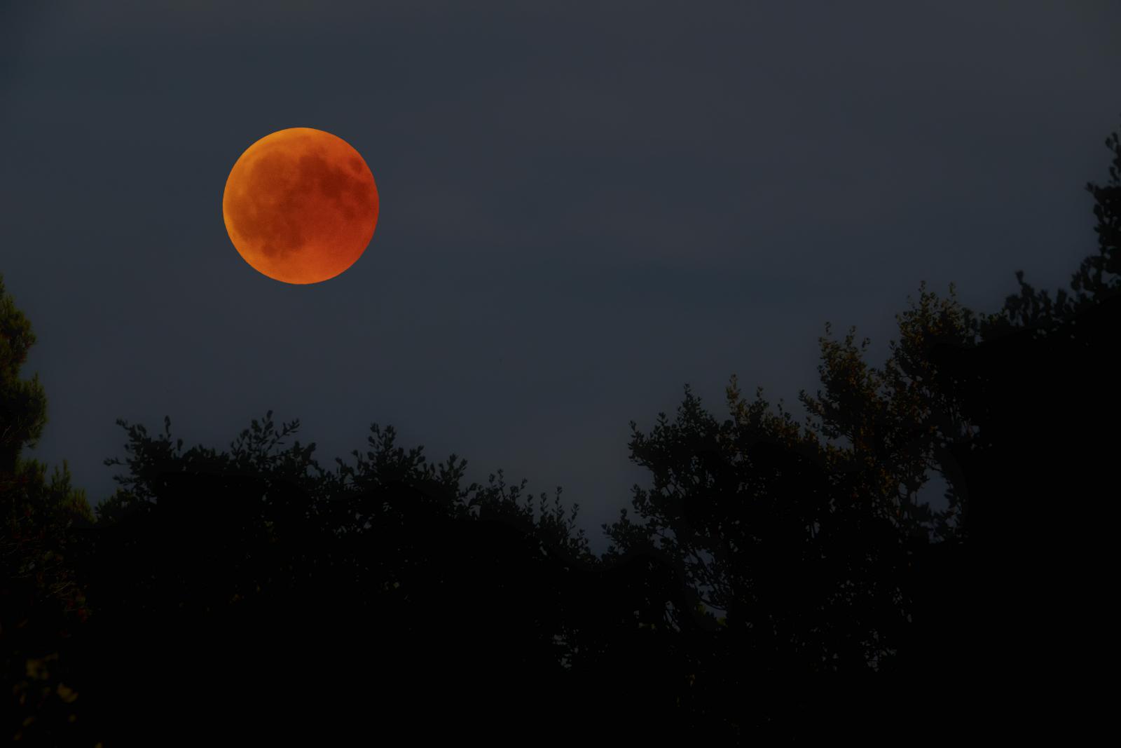 Eclipse.jpg